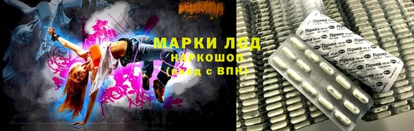 гашик Россошь