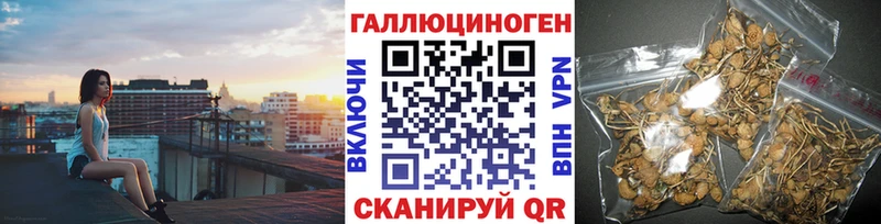 Галлюциногенные грибы Psilocybine cubensis  Вяземский 